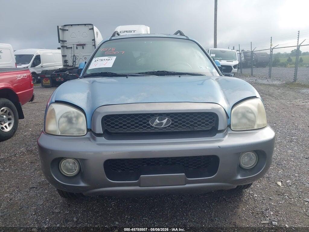 KM8SC13D03U505470 2003 HYUNDAI SANTA FE photo no. 6