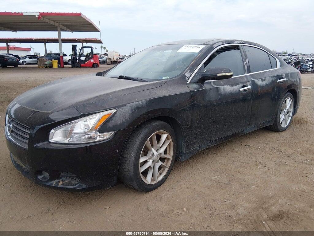 1N4AA51E89C849075 2009 NISSAN MAXIMA photo no. 2