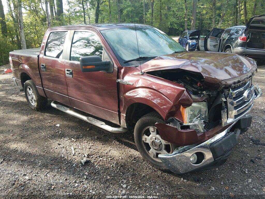 1FTEW1C81AFB24160 2010 FORD F-150 photo no. 1