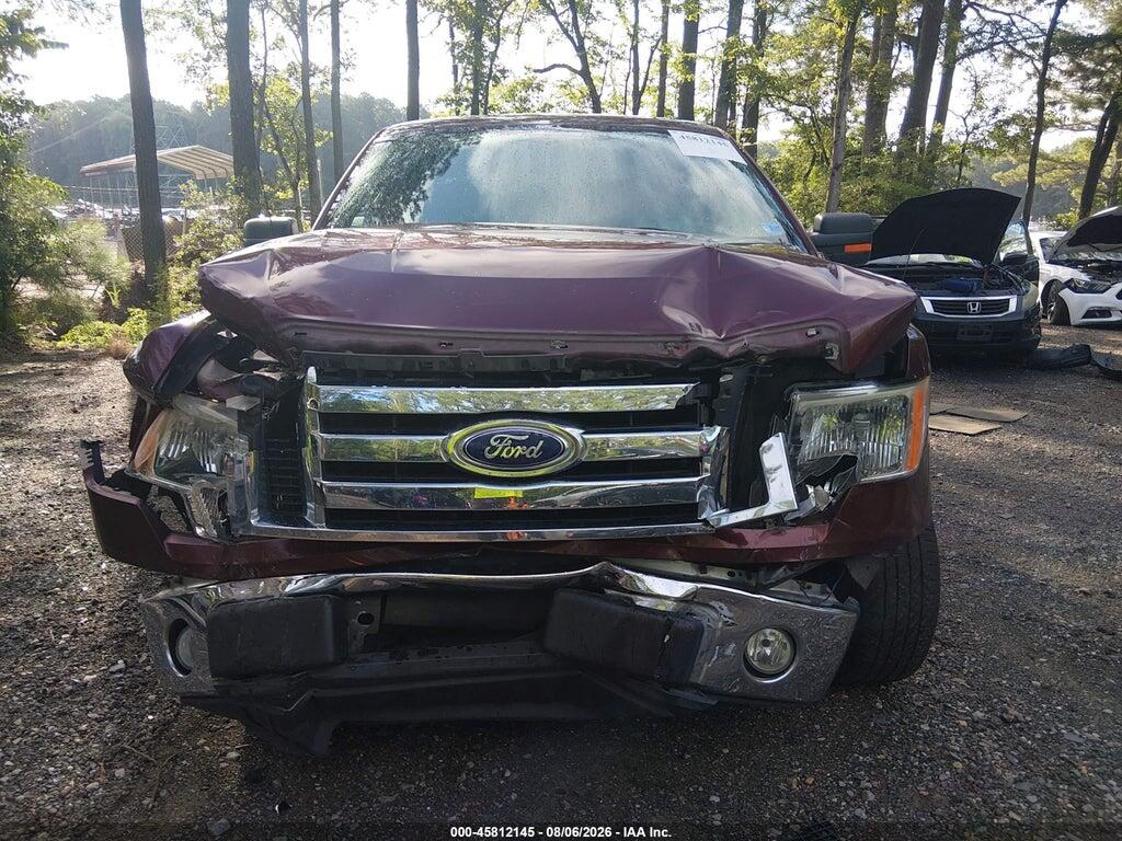 1FTEW1C81AFB24160 2010 FORD F-150 photo no. 12