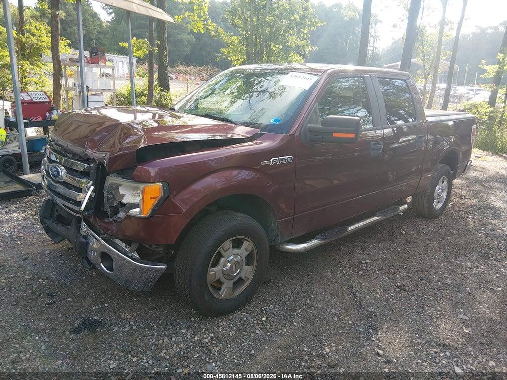 1FTEW1C81AFB24160 2010 FORD F-150 photo no. 2