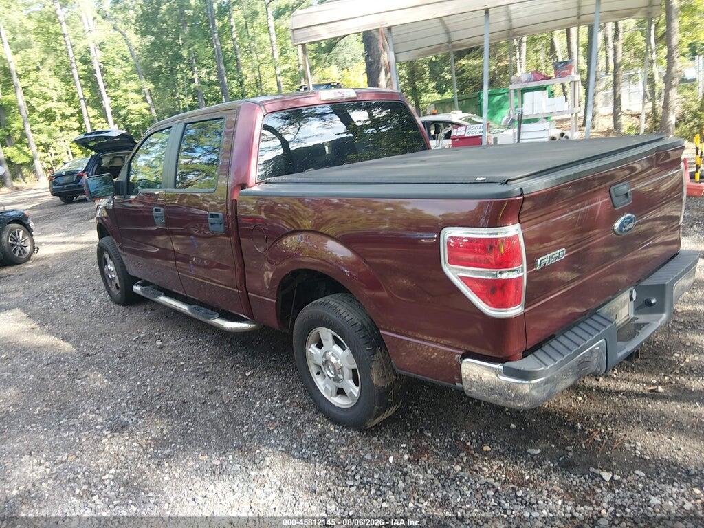 1FTEW1C81AFB24160 2010 FORD F-150 photo no. 3