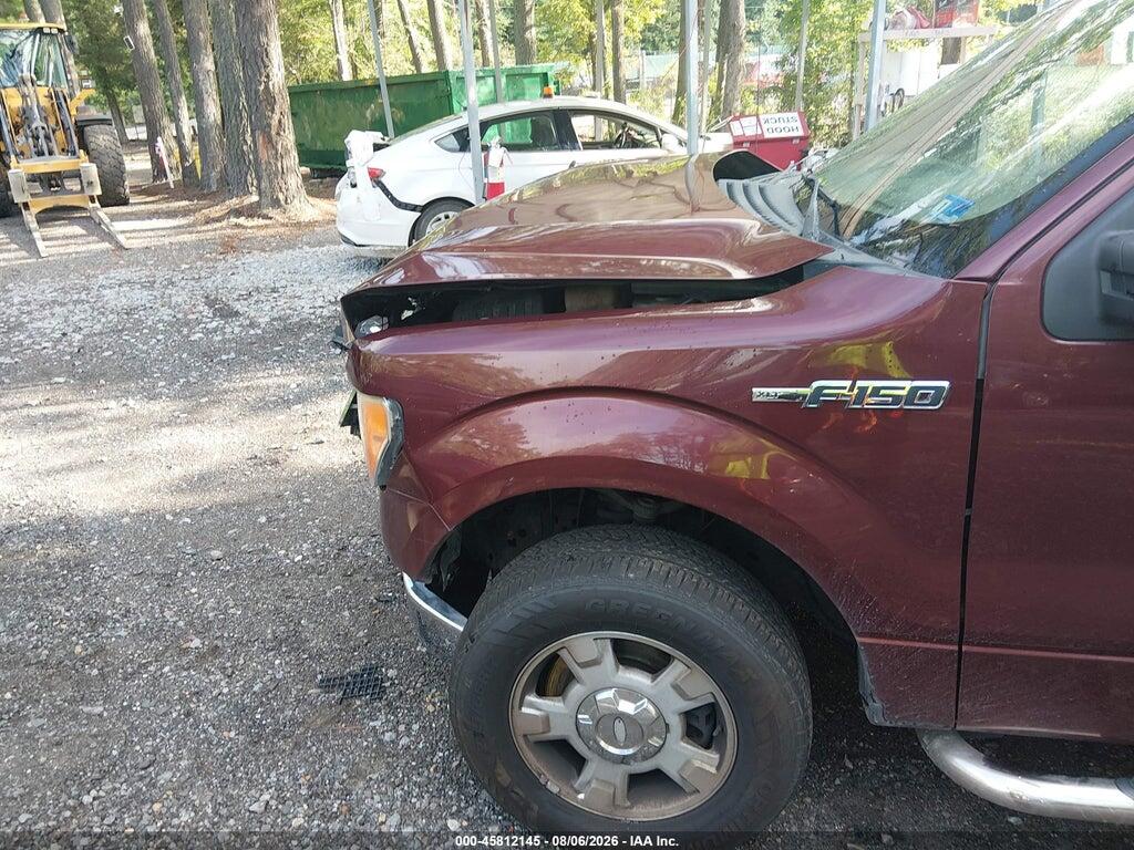 1FTEW1C81AFB24160 2010 FORD F-150 photo no. 6