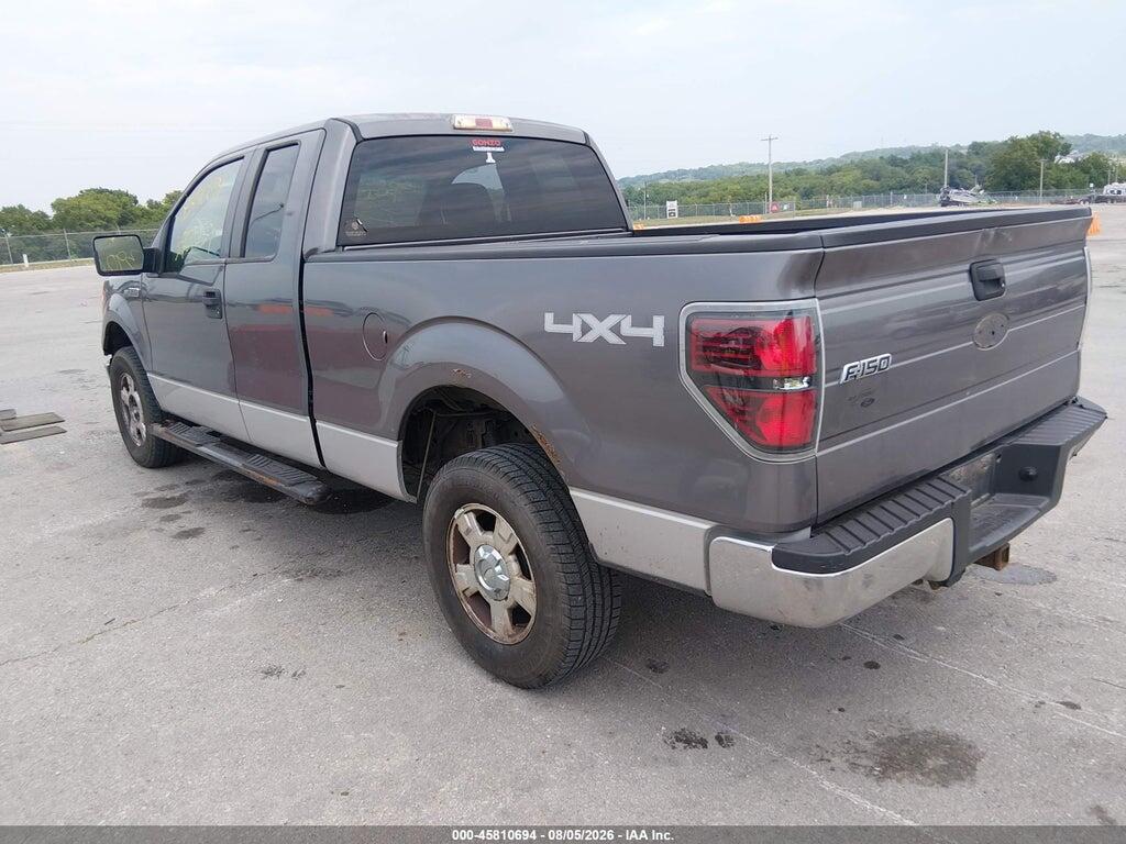 1FTEX1E87AKE70487 2010 FORD F-150 photo no. 3