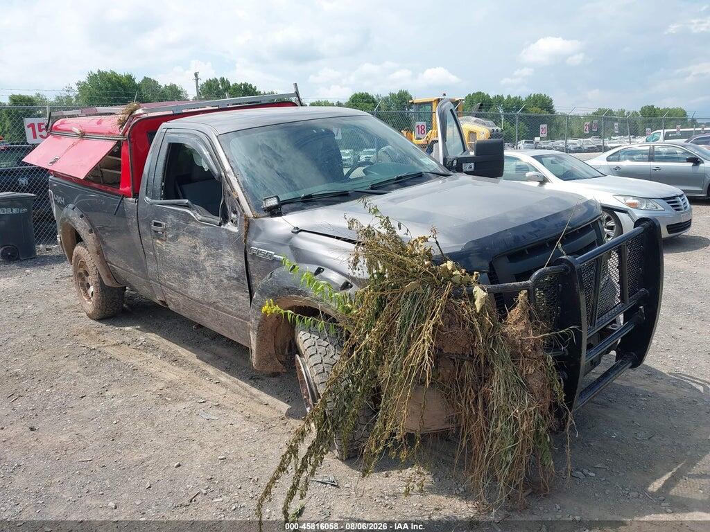 1FTPF1EF2BKD95029 2011 FORD F-150 photo no. 6