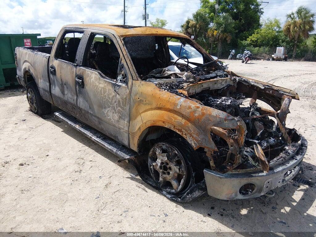 1FTFW1ET6DFC32638 2013 FORD F-150 photo no. 12
