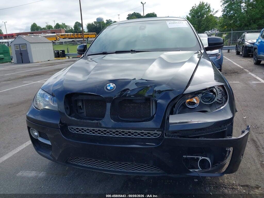 5UXFG2C51E0C43513 2014 BMW X6 photo no. 6