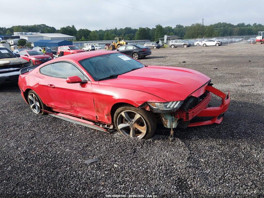 1FA6P8AMXF5428567 2015 FORD MUSTANG photo no. 1
