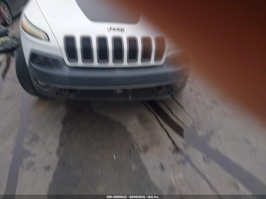 1C4PJMBS6GW156813 2016 JEEP CHEROKEE photo no. 12