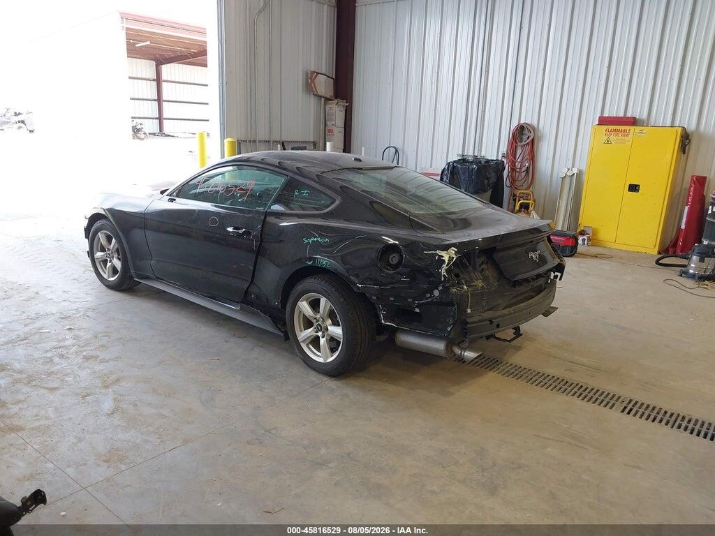 1FA6P8TH7K5143531 2019 FORD MUSTANG photo no. 3