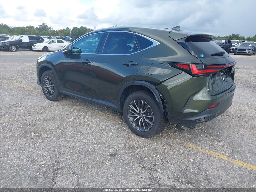 2T2ADCAZ8PC005482 2023 LEXUS NX 250 photo no. 3