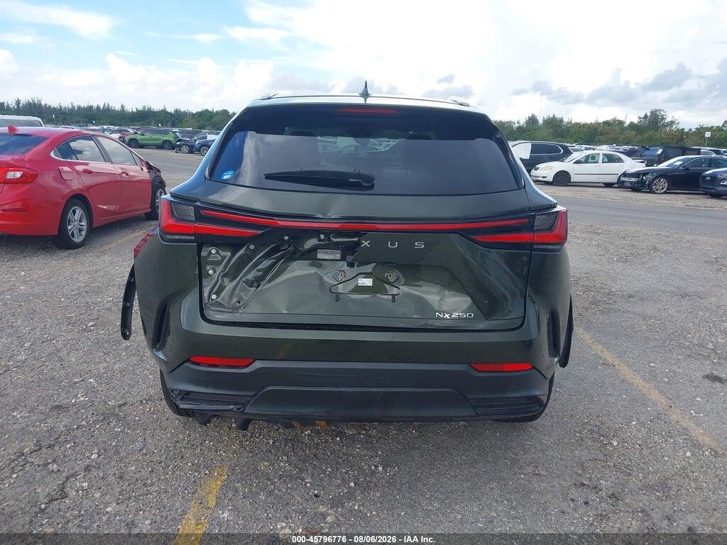 2T2ADCAZ8PC005482 2023 LEXUS NX 250 photo no. 6