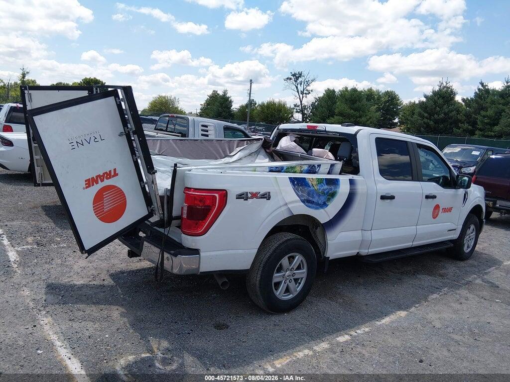 1FTFW1ED3PFB49701 2023 FORD F-150 photo no. 12