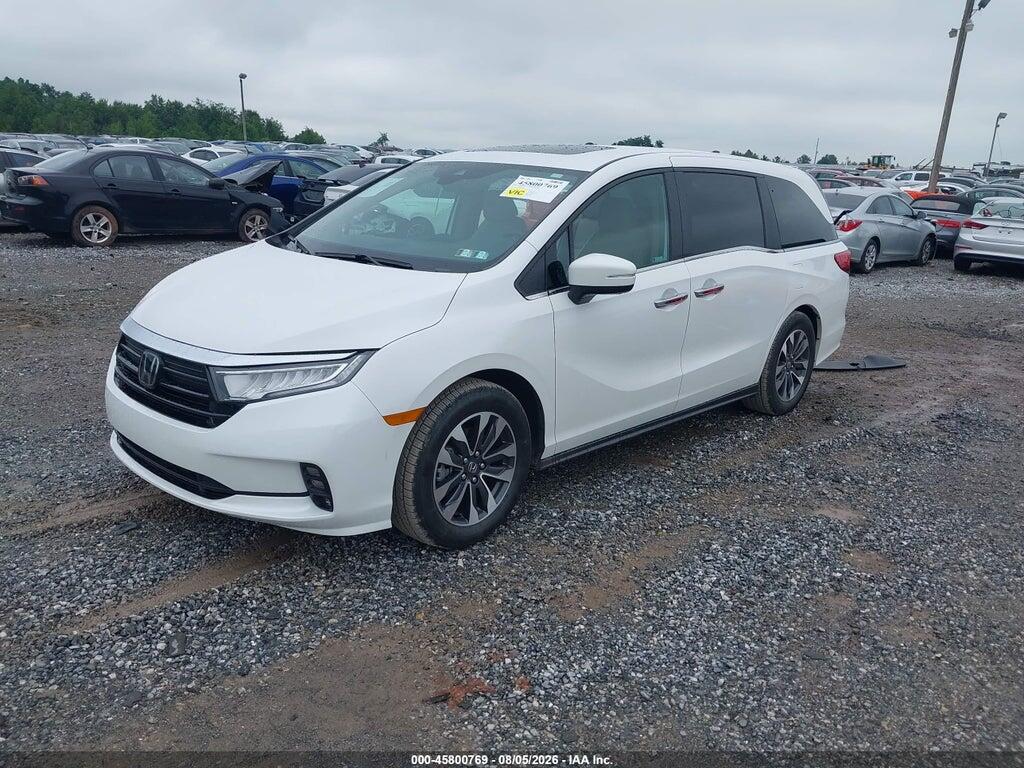 5FNRL6H64RB045516 2024 HONDA ODYSSEY photo no. 2