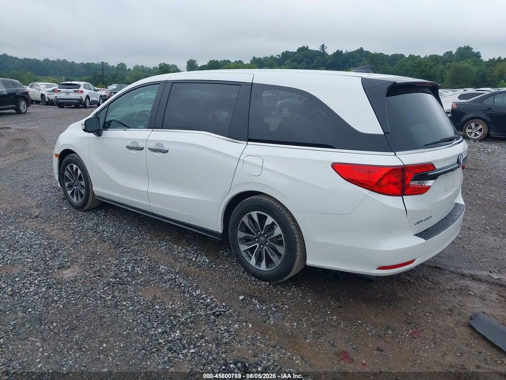 5FNRL6H64RB045516 2024 HONDA ODYSSEY photo no. 3