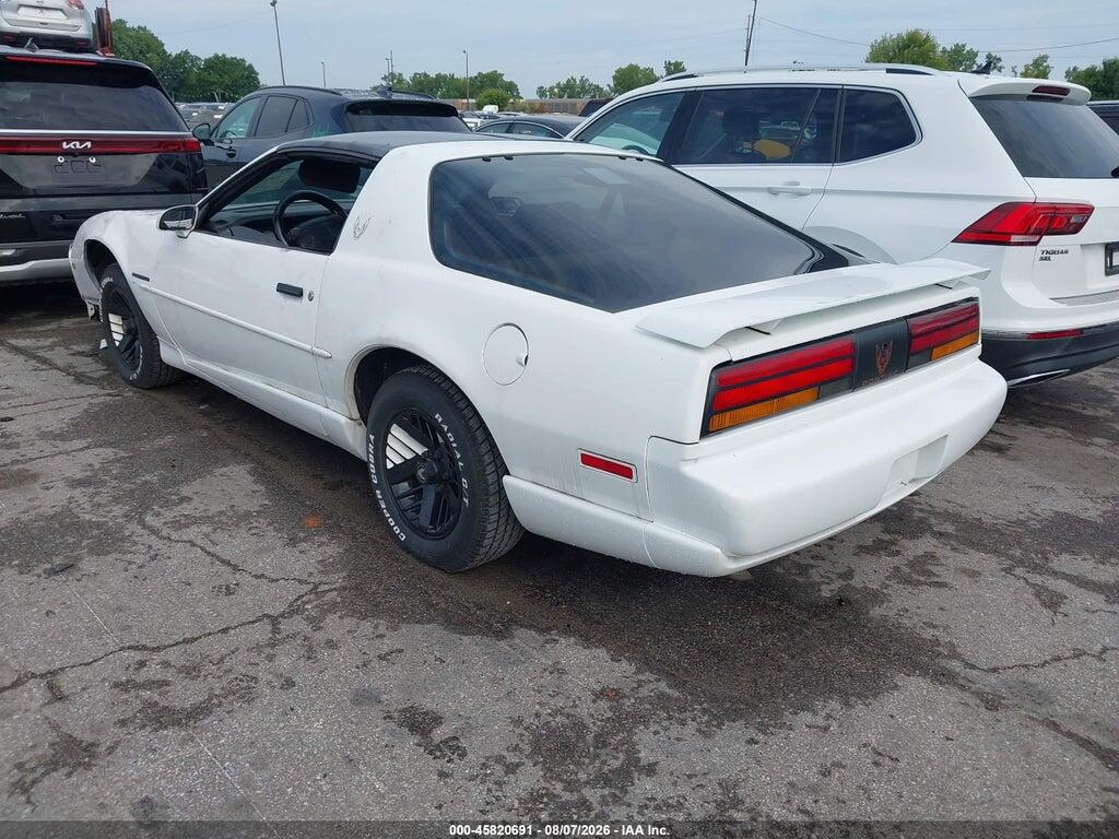 1G2FS23T5ML219146 1991 PONTIAC FIREBIRD photo no. 3