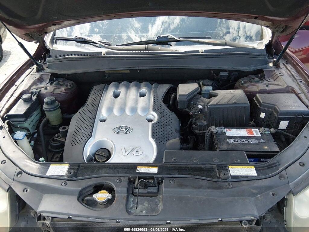 5NMSG13D87H049319 2007 HYUNDAI SANTA FE photo no. 10