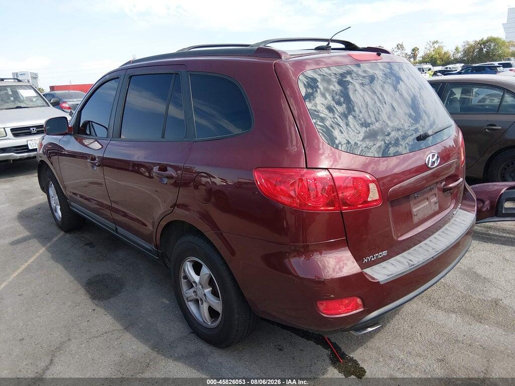 5NMSG13D87H049319 2007 HYUNDAI SANTA FE photo no. 3