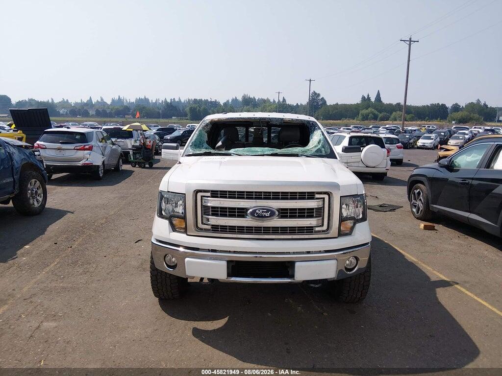 1FTFW1ET6DKF10297 2013 FORD F-150 photo no. 12
