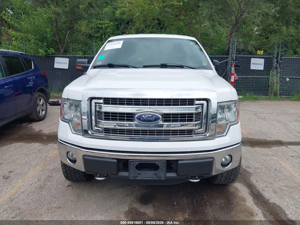 1FTEX1EM9EKD55103 2014 FORD F-150 photo no. 12