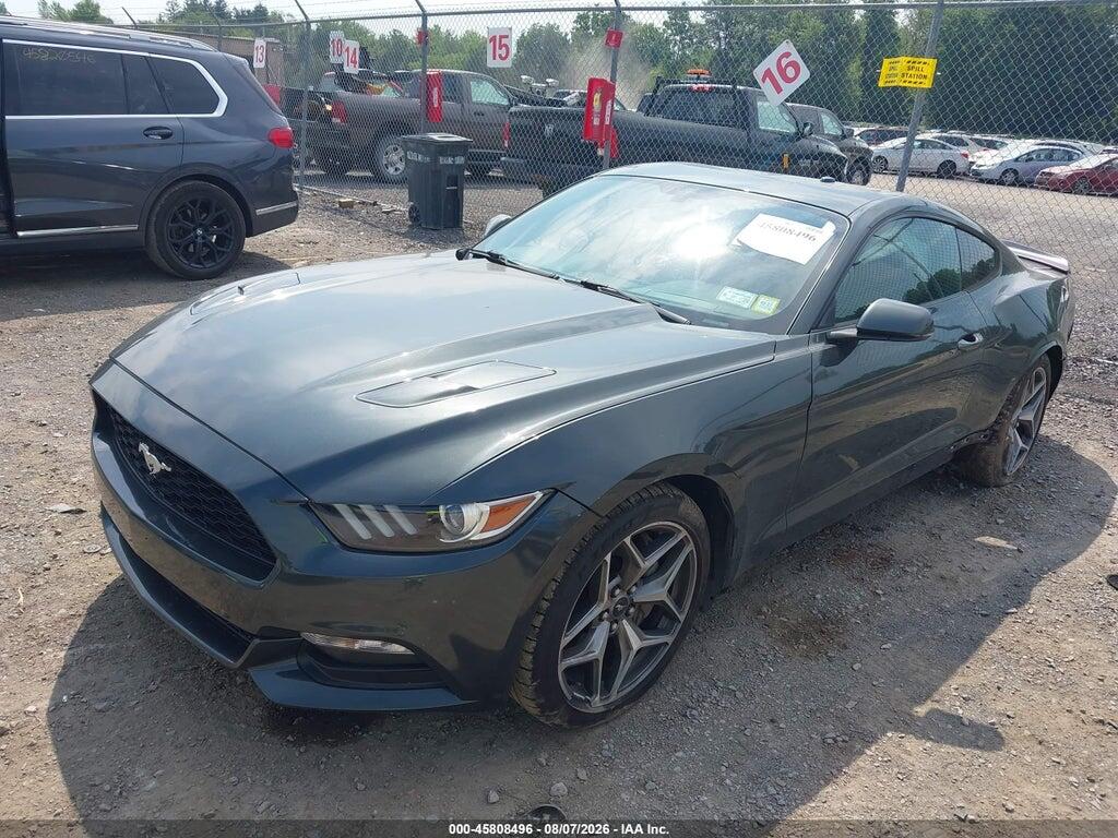 1FA6P8TH3F5379969 2015 FORD MUSTANG photo no. 2
