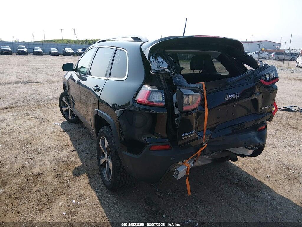 1C4PJMDN9KD258263 2019 JEEP CHEROKEE photo no. 3