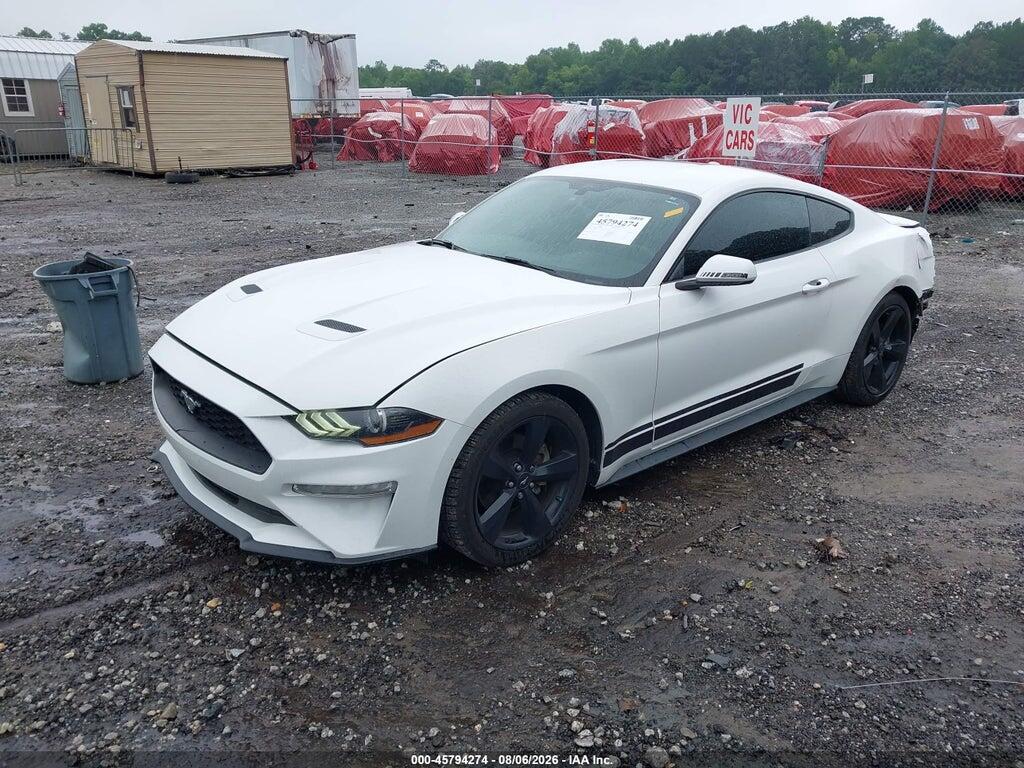 1FA6P8TH7K5112280 2019 FORD MUSTANG photo no. 2