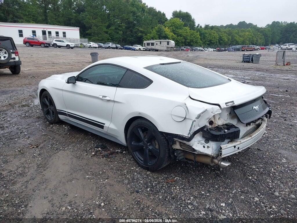 1FA6P8TH7K5112280 2019 FORD MUSTANG photo no. 3