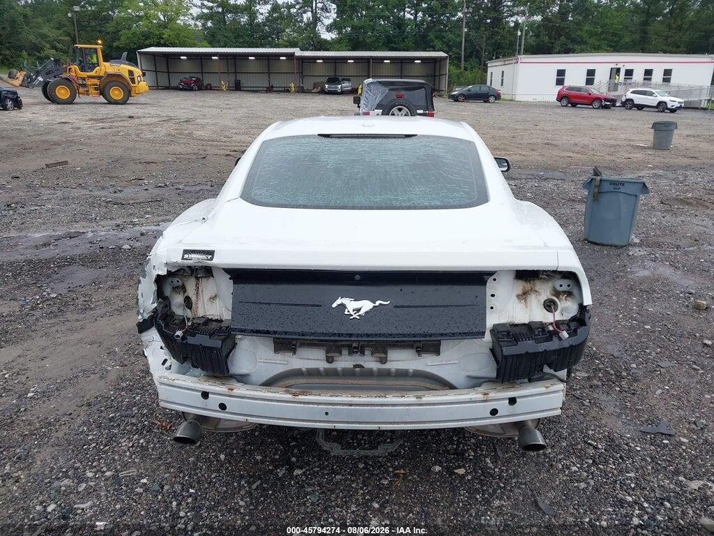 1FA6P8TH7K5112280 2019 FORD MUSTANG photo no. 6