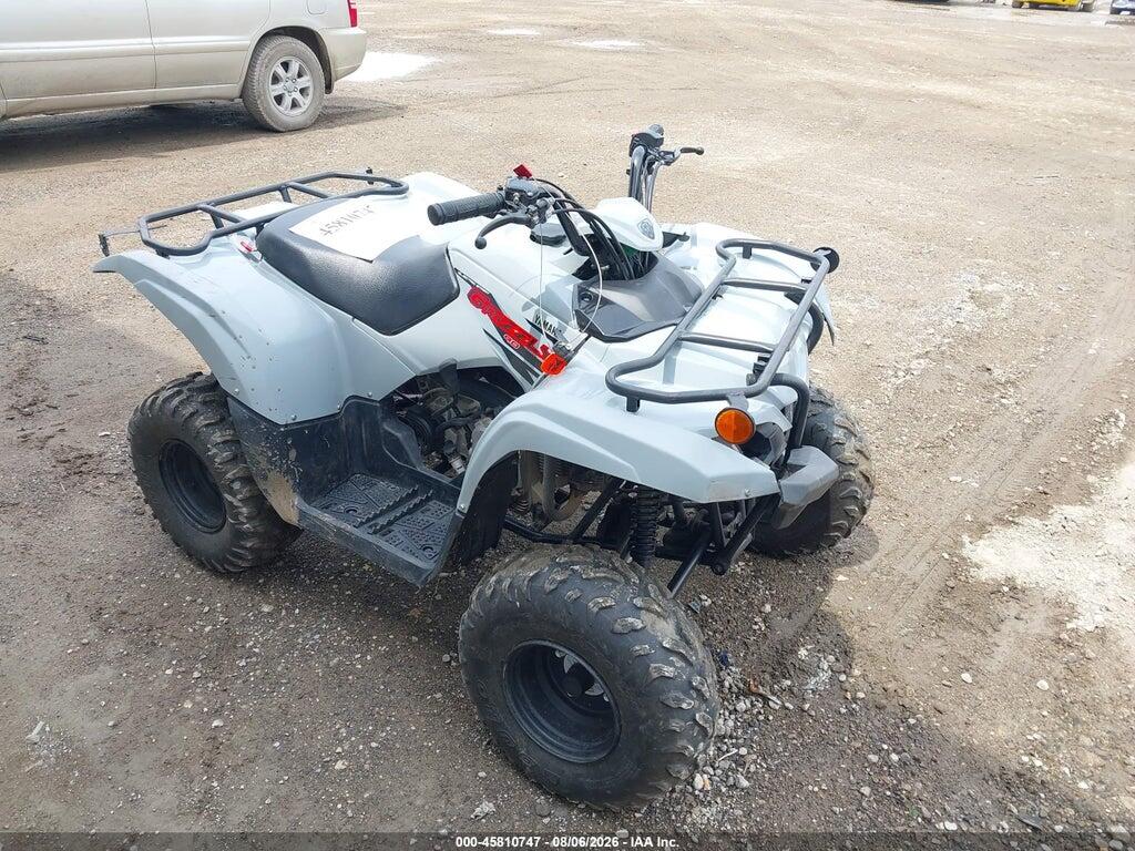RF3AB1331MT005687 2021 YAMAHA YFM90 photo no. 1