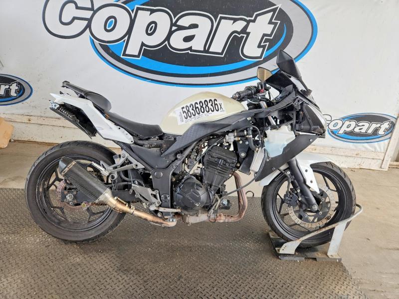 2013 KAWASAKI EX300 JKAEX8A18DDA02159