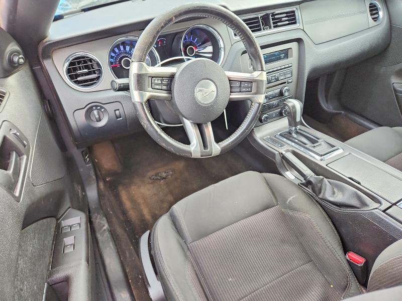 1ZVBP8EM2D5277740 2013 FORD MUSTANG photo no. 8