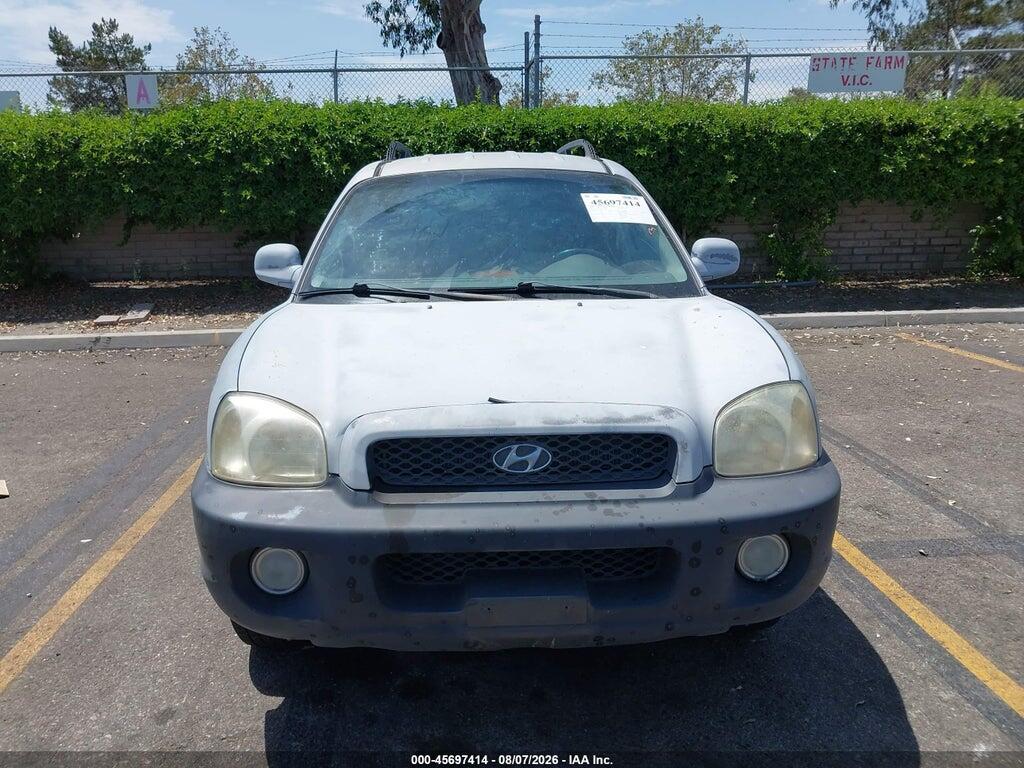 KM8SC13D03U345591 2003 HYUNDAI SANTA FE photo no. 12