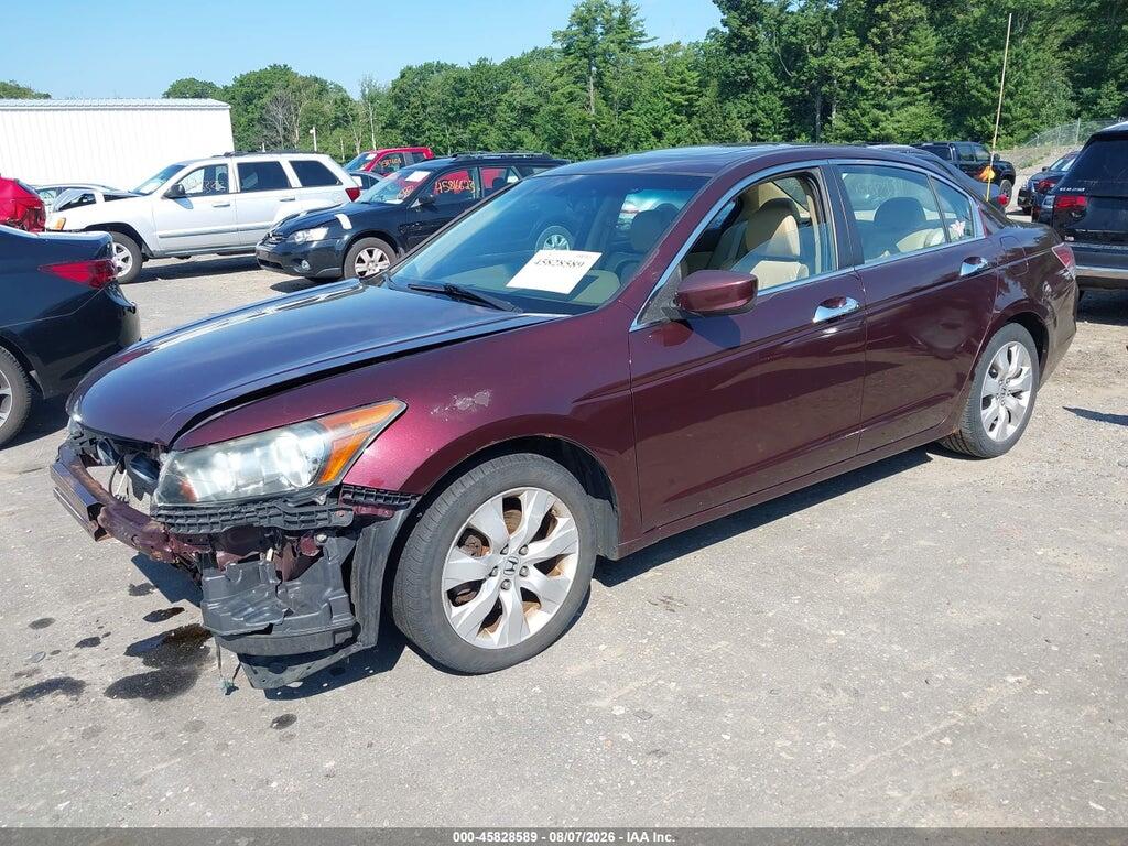 5KBCP3F8XAB016282 2010 HONDA ACCORD photo no. 2
