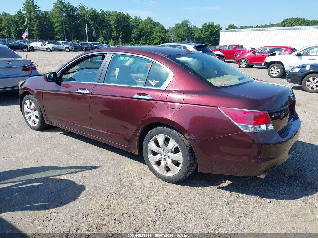 5KBCP3F8XAB016282 2010 HONDA ACCORD photo no. 3