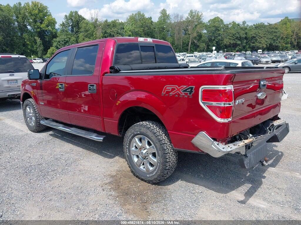 1FTFW1ET3EFB66955 2014 FORD F-150 photo no. 3