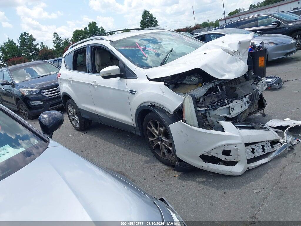 1FMCU0J92EUD29695 2014 FORD ESCAPE photo no. 1
