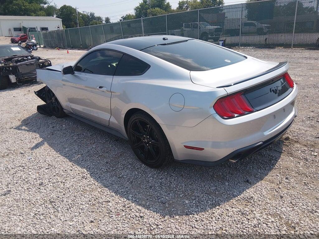 1FA6P8TH3K5174694 2019 FORD MUSTANG photo no. 3