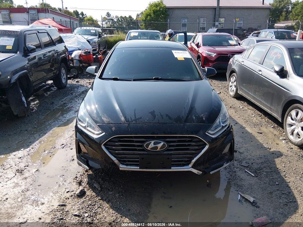 5NPE24AF4KH747066 2019 HYUNDAI SONATA photo no. 12