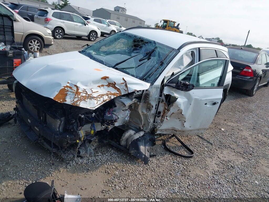 KM8JBCD16RU198636 2024 HYUNDAI TUCSON HYBRID photo no. 2