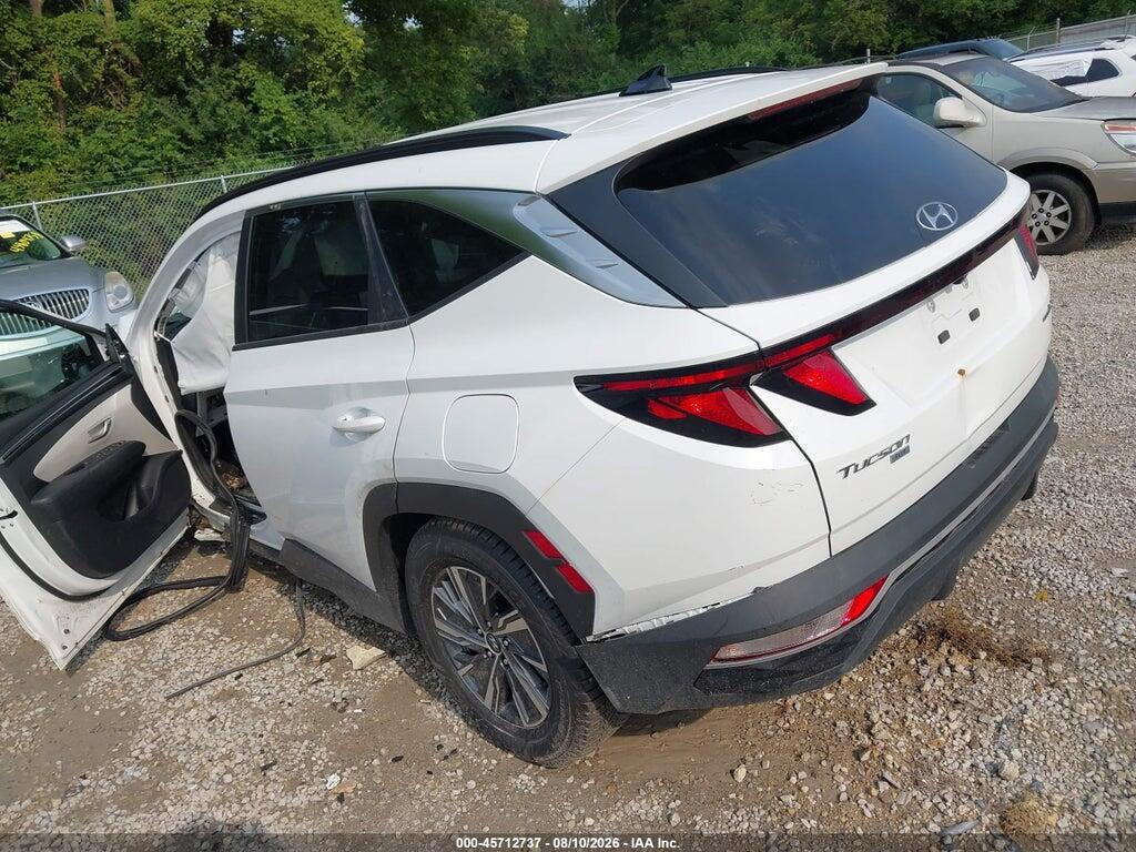 KM8JBCD16RU198636 2024 HYUNDAI TUCSON HYBRID photo no. 3