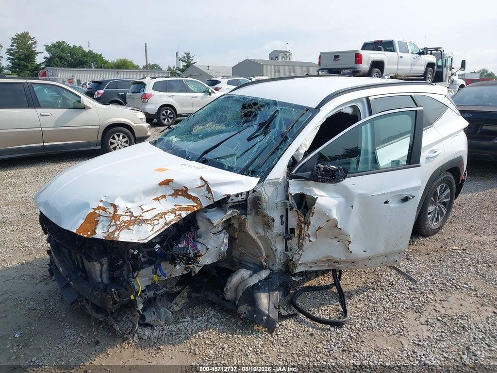 KM8JBCD16RU198636 2024 HYUNDAI TUCSON HYBRID photo no. 6