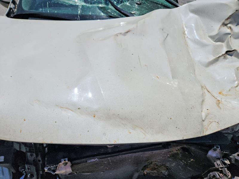 5FNYF6H53KB061030 2019 HONDA PILOT photo no. 12