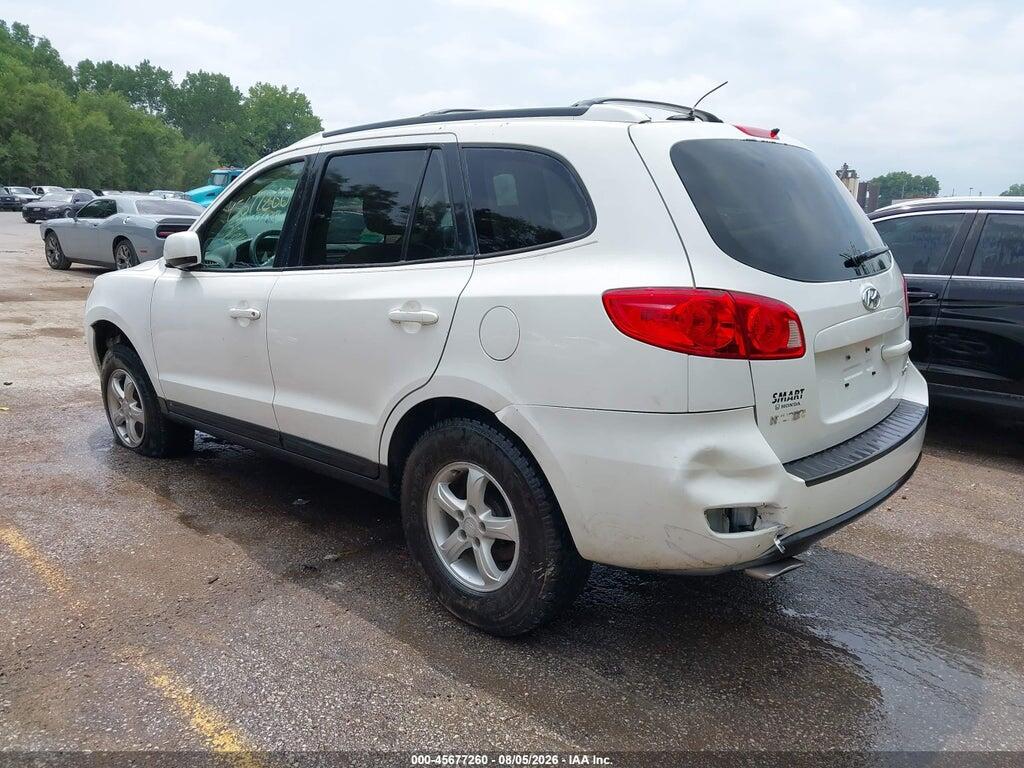 5NMSG13D37H052550 2007 HYUNDAI SANTA FE photo no. 3