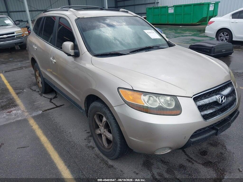 5NMSG13D07H069869 2007 HYUNDAI SANTA FE photo no. 1