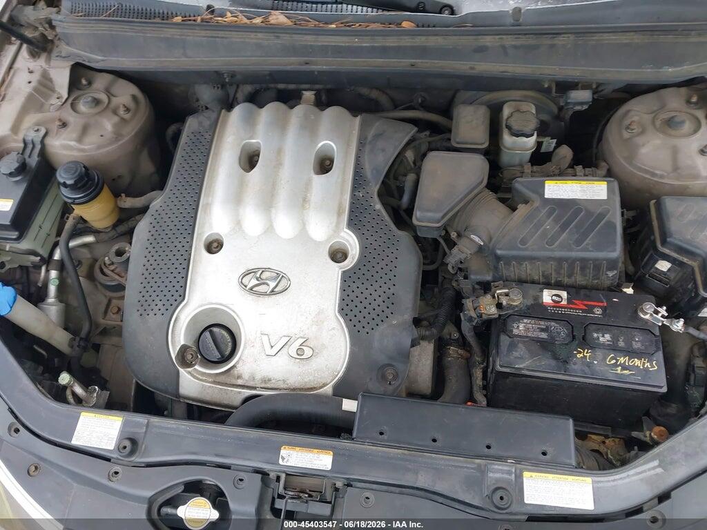 5NMSG13D07H069869 2007 HYUNDAI SANTA FE photo no. 10