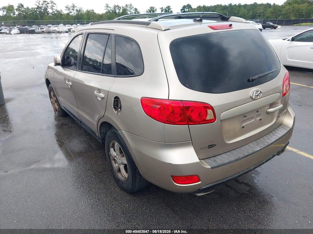 5NMSG13D07H069869 2007 HYUNDAI SANTA FE photo no. 3