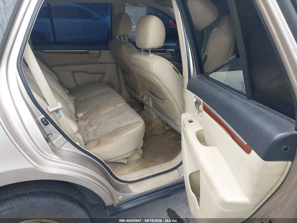5NMSG13D07H069869 2007 HYUNDAI SANTA FE photo no. 8