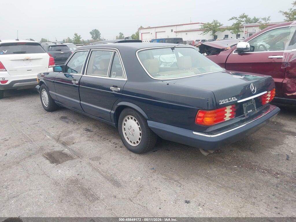 WDBCA25E8MA561250 1991 MERCEDES-BENZ 300 photo no. 3