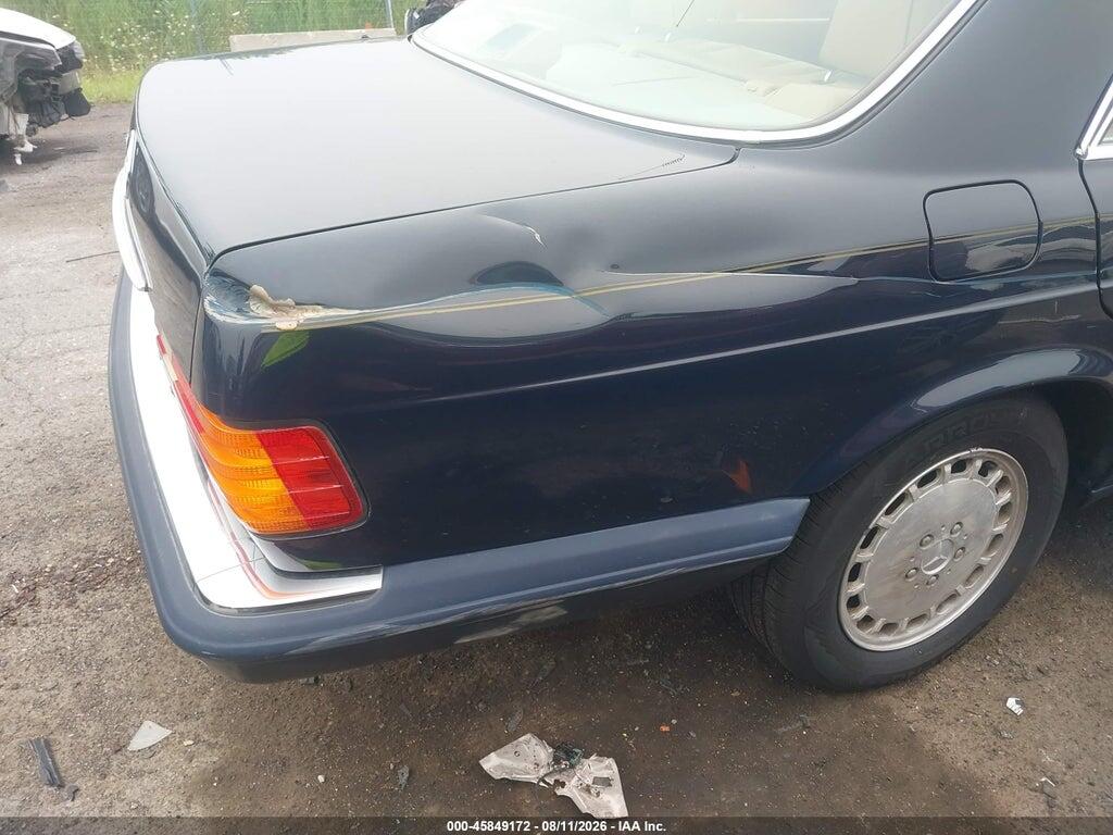 WDBCA25E8MA561250 1991 MERCEDES-BENZ 300 photo no. 6